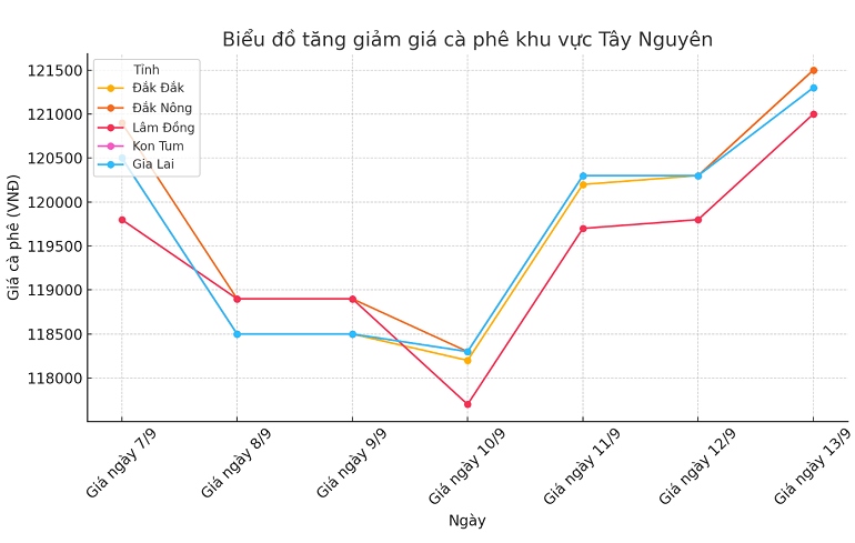 Bieu do gia ca phe ngay 13.9.2024_1726198541.png